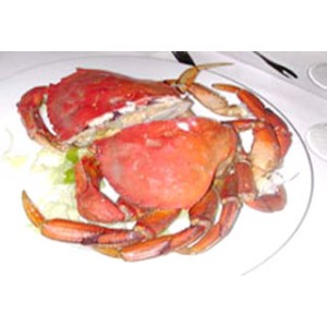 DINNER スペシャル(カニ)