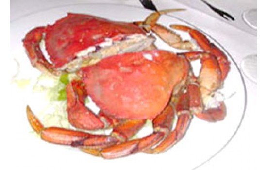 DINNER スペシャル(カニ)