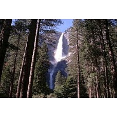 ヨセミテ国立公園日帰りツアー ヨセミテ国立公園日帰りツアー