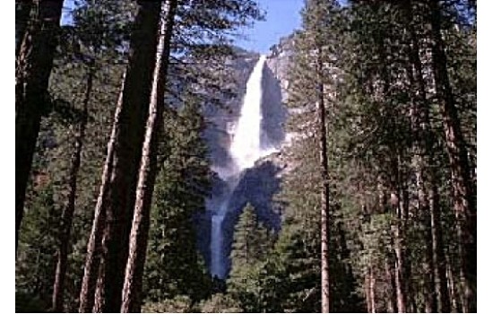 ヨセミテ国立公園日帰りツアー 